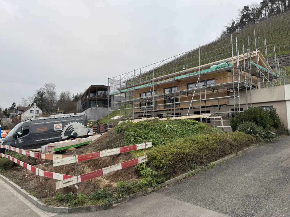 Bois massif en construction
